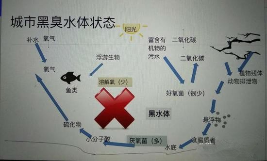 江蘇億元投資治污新技術(shù) 石墨烯能否治理黑臭水體？