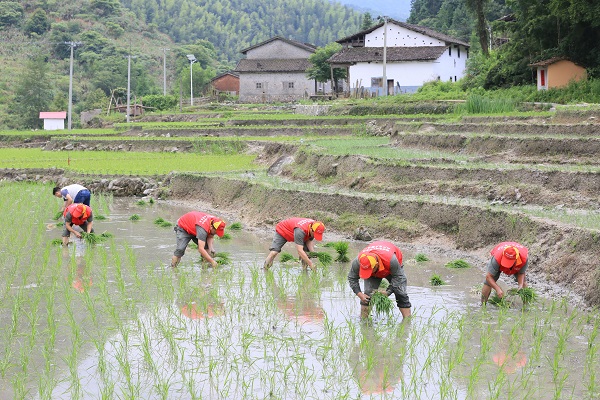 小山村有了大變化——國網(wǎng)樂安縣供電公司精準扶貧工作側記