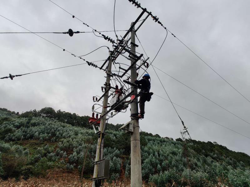 臨滄云縣供電局開展線路維護消缺，大幅提升供電可靠性