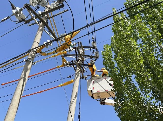 帶電作業(yè)除隱患，安全供電有保障