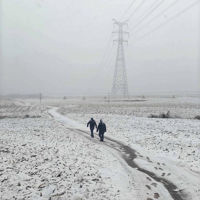 國網(wǎng)遼寧電力公司全力應對遼寧首輪雨雪天氣