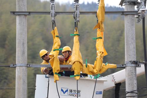 國網(wǎng)壽寧縣供電公司帶電更換避雷器 保障電網(wǎng)安全運(yùn)行